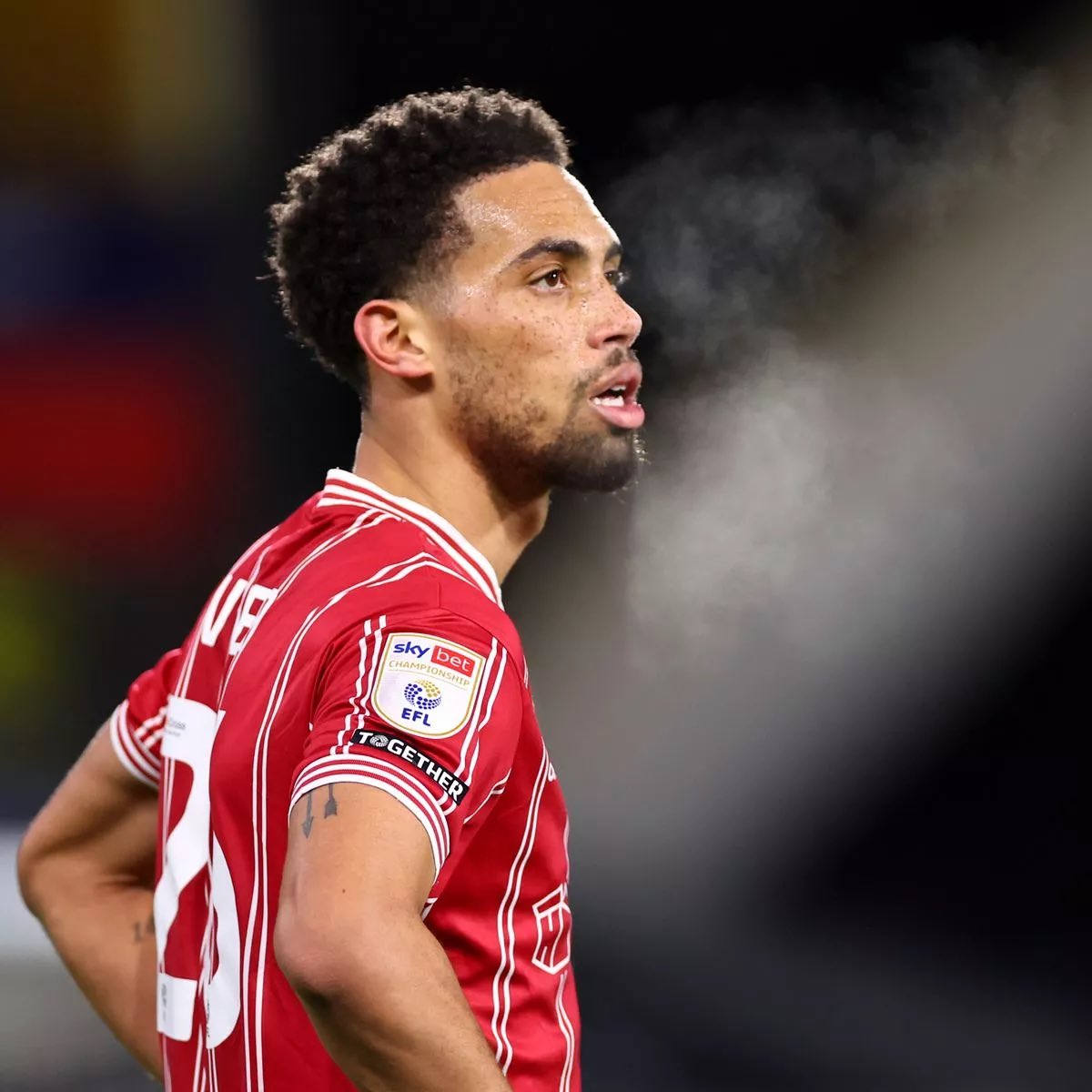 The Robins Way tweet media