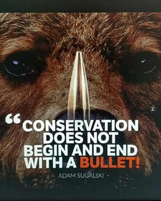 KerrieReay's tweet photo. For goodness sake @_BCCOS Tex needs to be relocated, you can’t cherry pick efforts for Reconciliation with Indigenous communities to what suits you … there is an opportunity here to do what is right and actions speak more than words https://t.co/mCHR2rA780