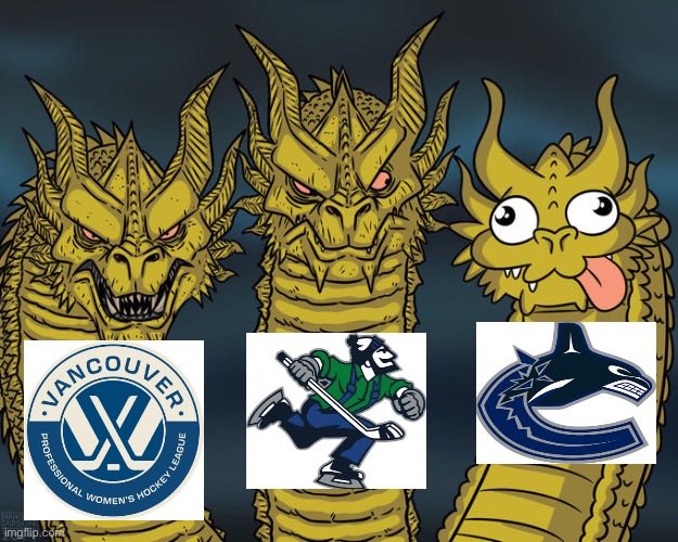 the state of Vancouver hockey rn
