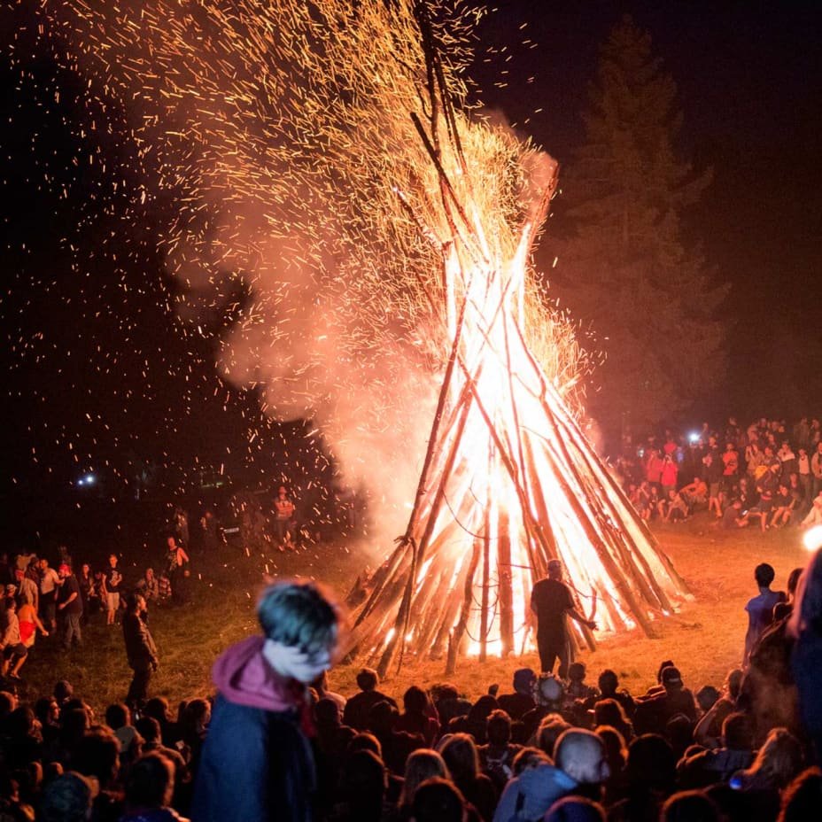 Fullmetal Developer tweet media