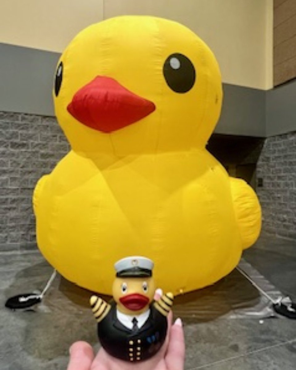 Jeep Invasion took over Branson this weekend! 🚙🦆 First Class Maid Jamie &amp; our crew were out ducking Jeeps—Titanic style—with Captain Duck! 💙🎩

Did you get ducked? Tag us in your pics! #TitanicMuseumBranson #JeepInvasion