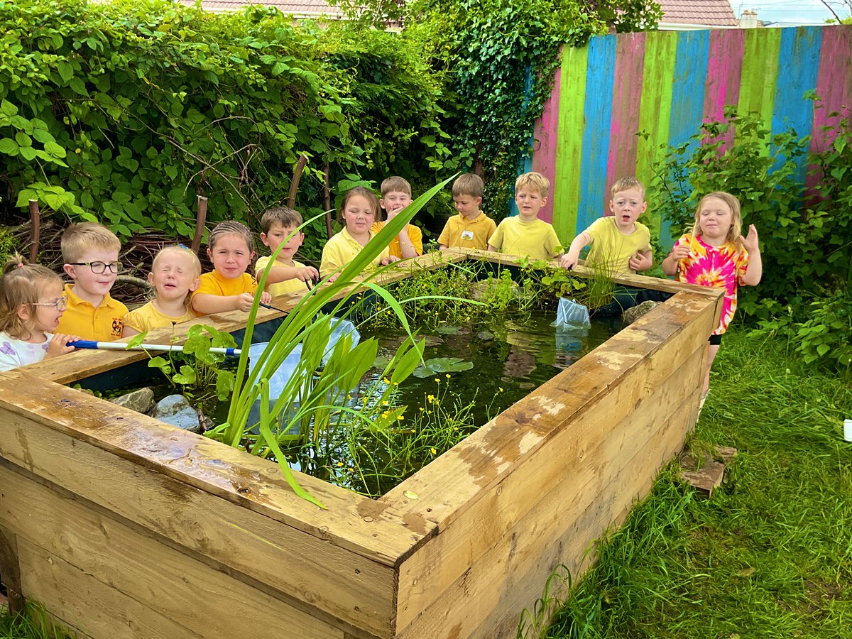 CGIY2Carr's tweet photo. Pond dipping today during Forest Fun, we were fascinated by how many new creatures had made themselves at home in our school pond. We enjoyed identifying them on the information cards #CGISCIT #ethicalinformedcitizens Gwaith da! @EcoCgi https://t.co/zXKXzVdZky