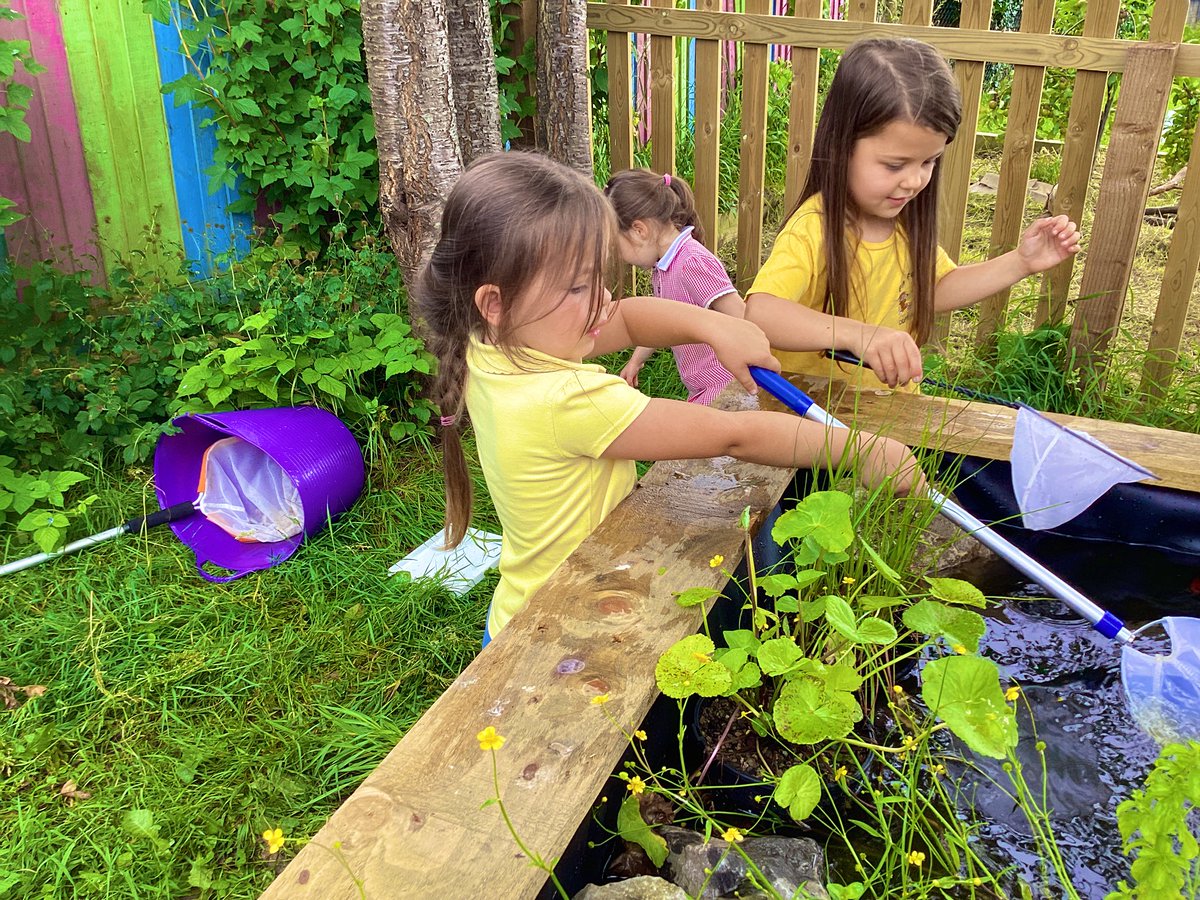 CGIY2Carr's tweet photo. Pond dipping today during Forest Fun, we were fascinated by how many new creatures had made themselves at home in our school pond. We enjoyed identifying them on the information cards #CGISCIT #ethicalinformedcitizens Gwaith da! @EcoCgi https://t.co/zXKXzVdZky