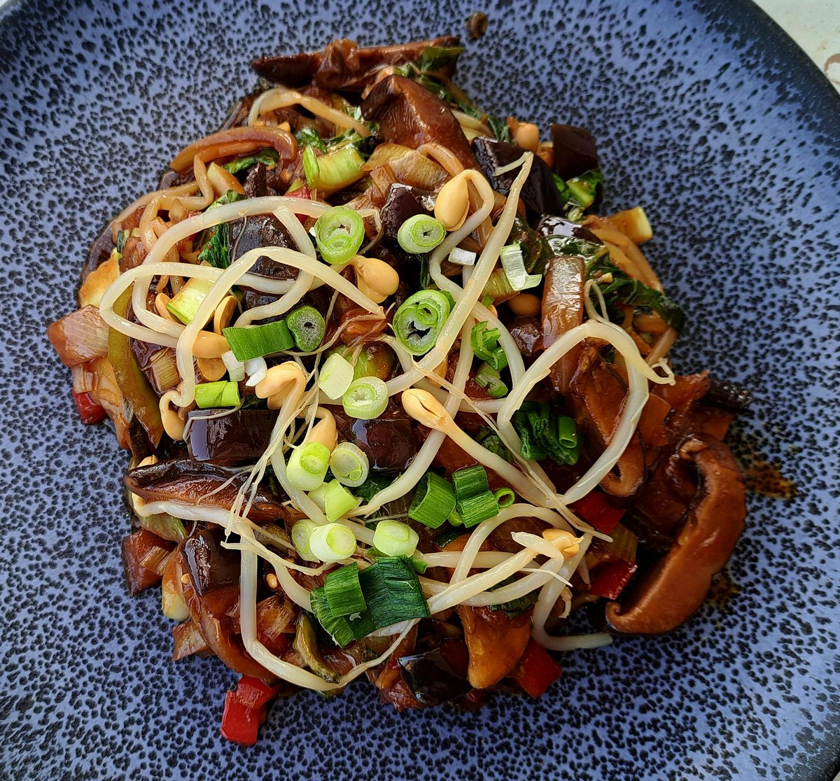 Heute asiatisches Improvisationstheater mit einer leckeren Gemüsepfanne. 

Pak Choi, Auberginen, Zucchini, Shitake, Porree, Paprika, Knoblauch, Sprossen und vielen asiatischen Saucen.

Ich könnte damit die ganze Nachbarschaft sättigen. 😅