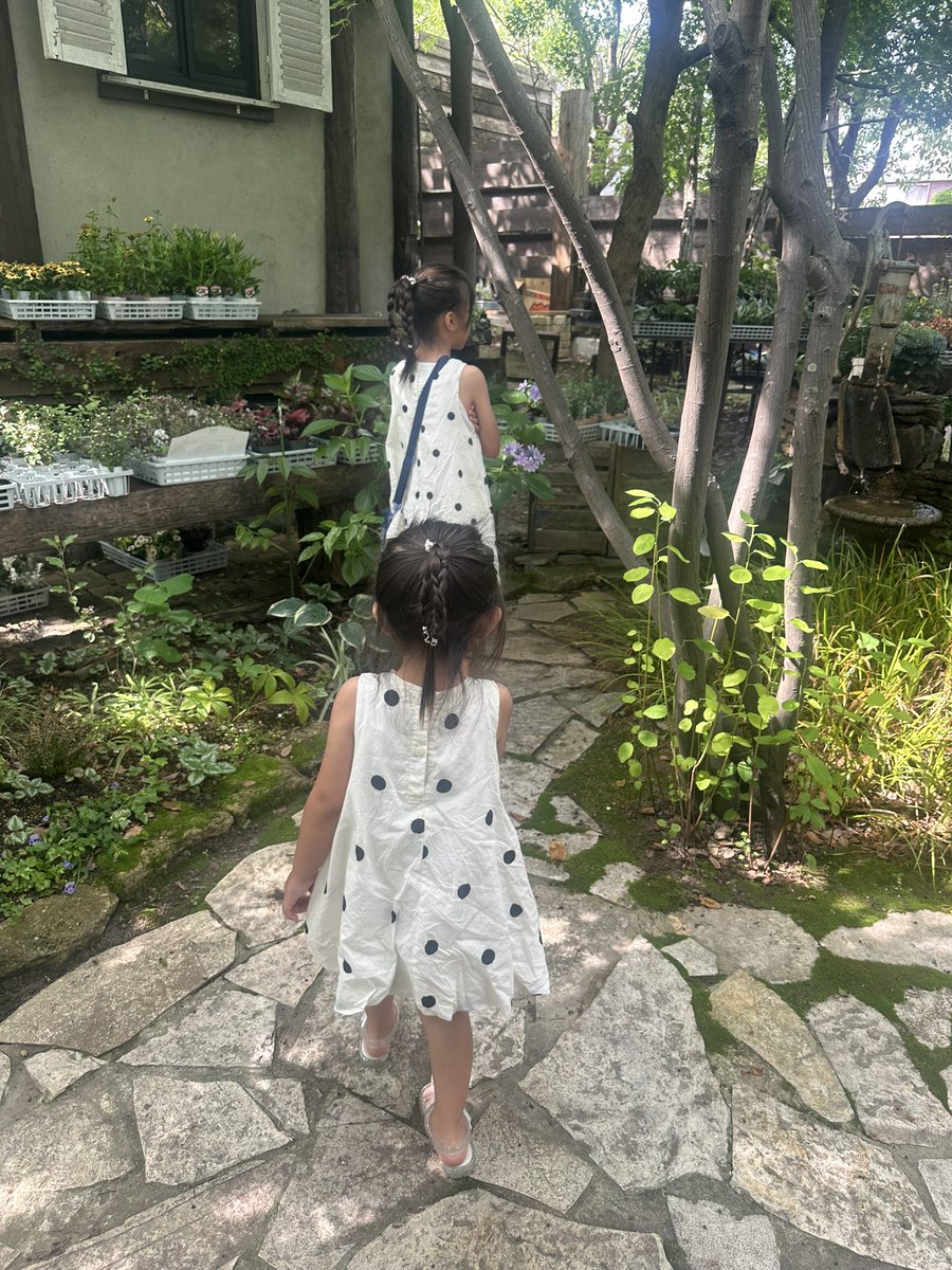 enu_ee's tweet image. 春も夏も秋も冬も同じ、季節に甘えないし流されないし緩まない、可愛い