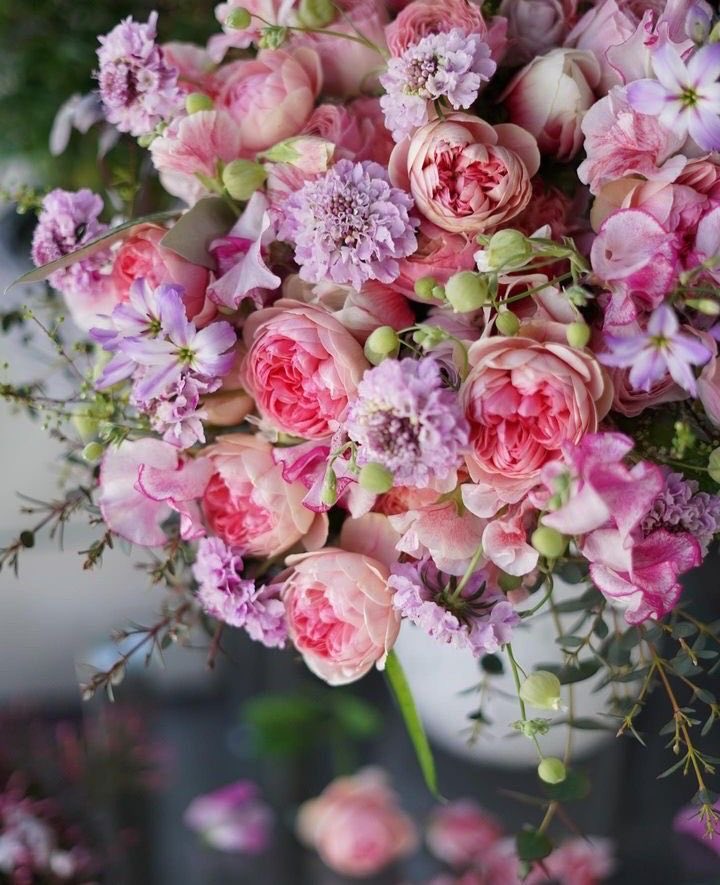 Angela (@angela3789677) on Twitter photo 