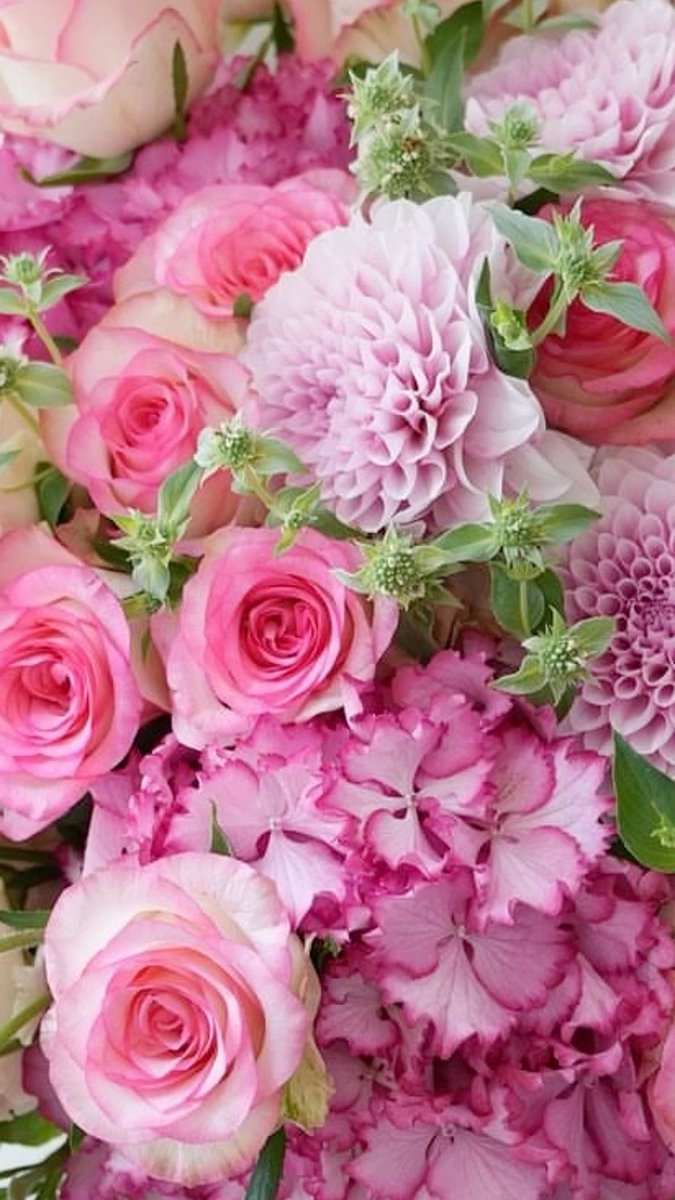 Angela (@angela3789677) on Twitter photo 