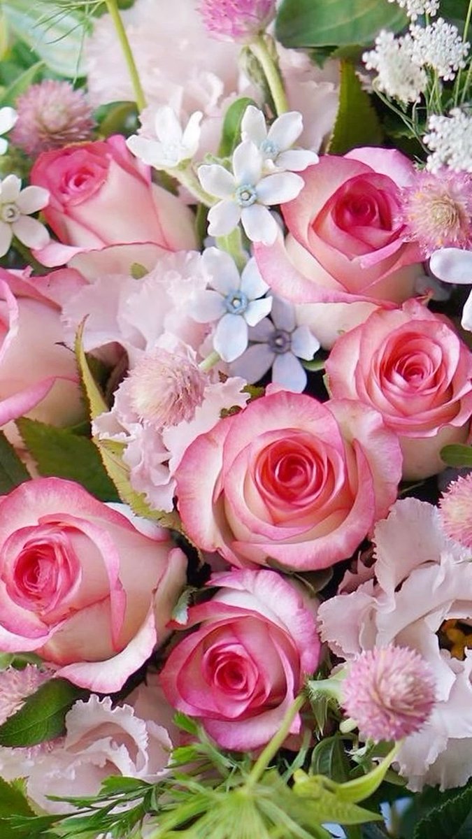 Angela (@angela3789677) on Twitter photo 