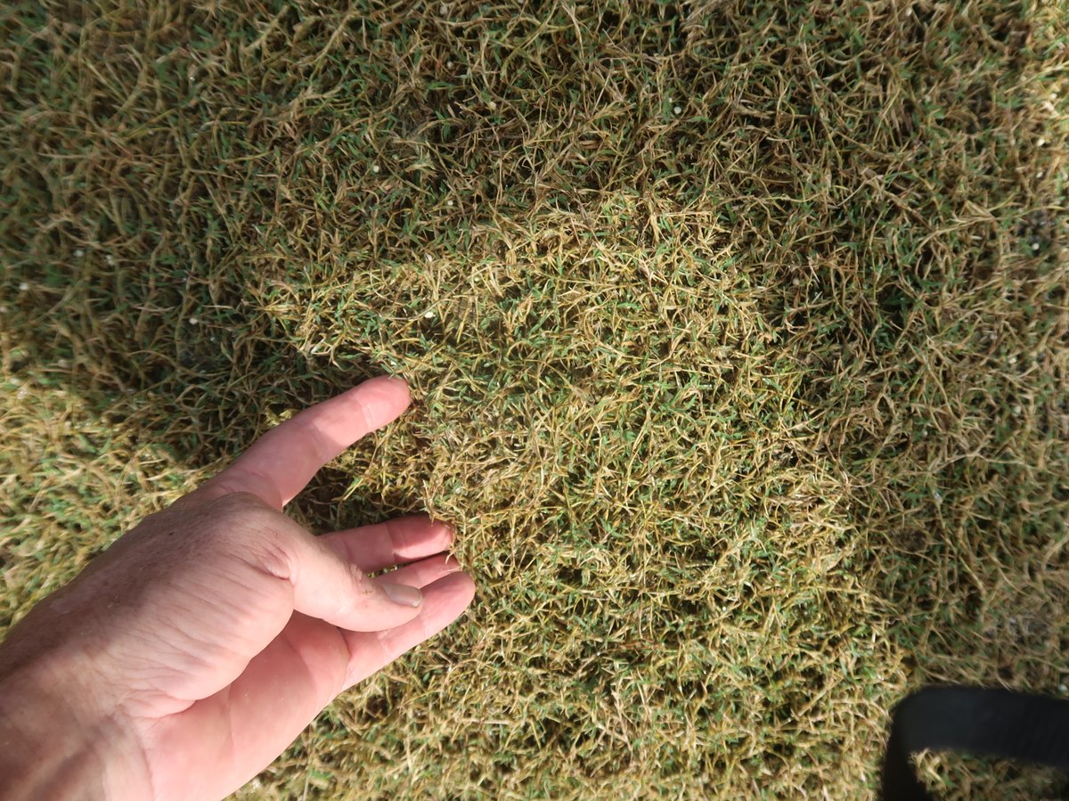 Steven Kammerer, PhD tweet media