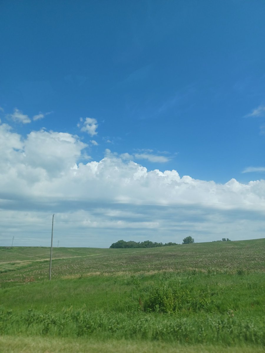 Fields