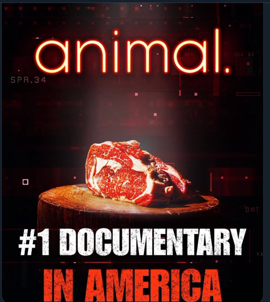 Have you seen it yet??