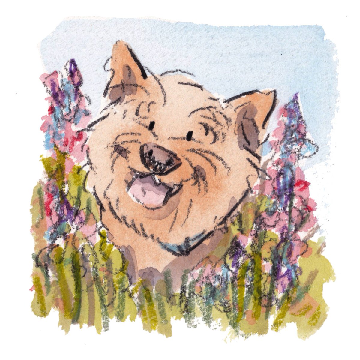 Hello, lovely people and lovely dogs. I've got some new smiles available in my webstore. If I can tempt you, here is the link …in-welch-art-and-design.myshopify.com/collections/or…
I'm wishing you the very best.
#hoorayfordogs #smiles