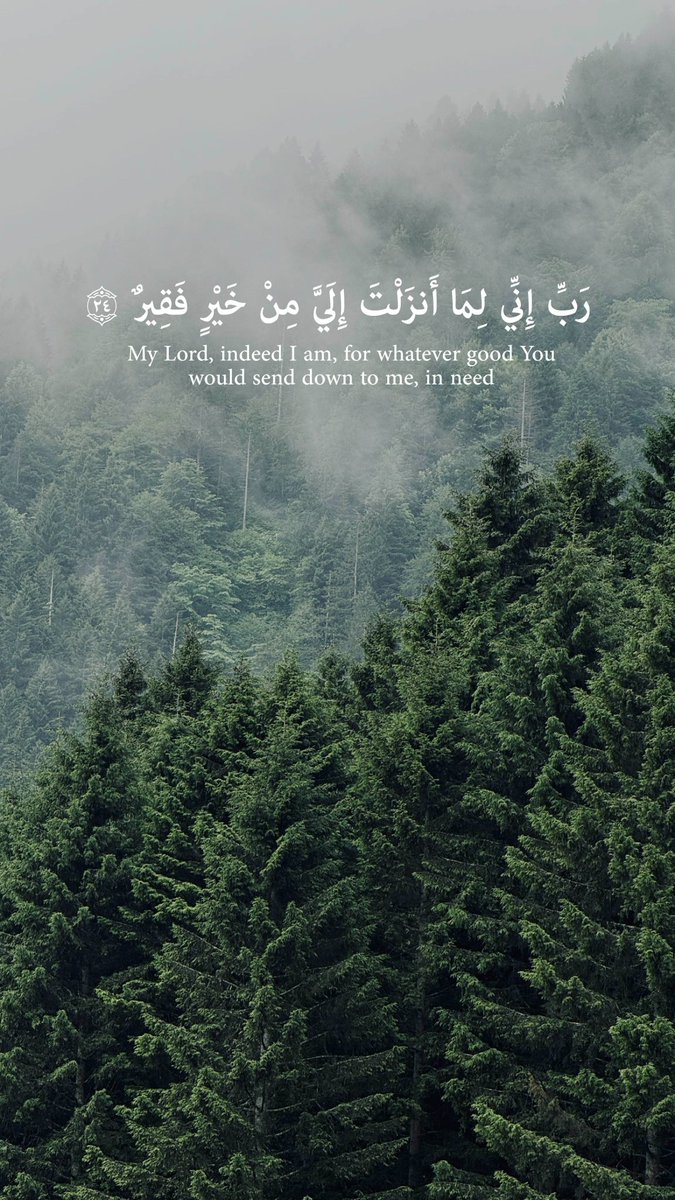 ..

اللهم رحمتك أرجو فلا تكلني إلى نفسي طرفة عين..... 🖤