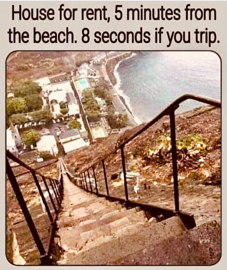 Happy Sunday from Roof Ranger.