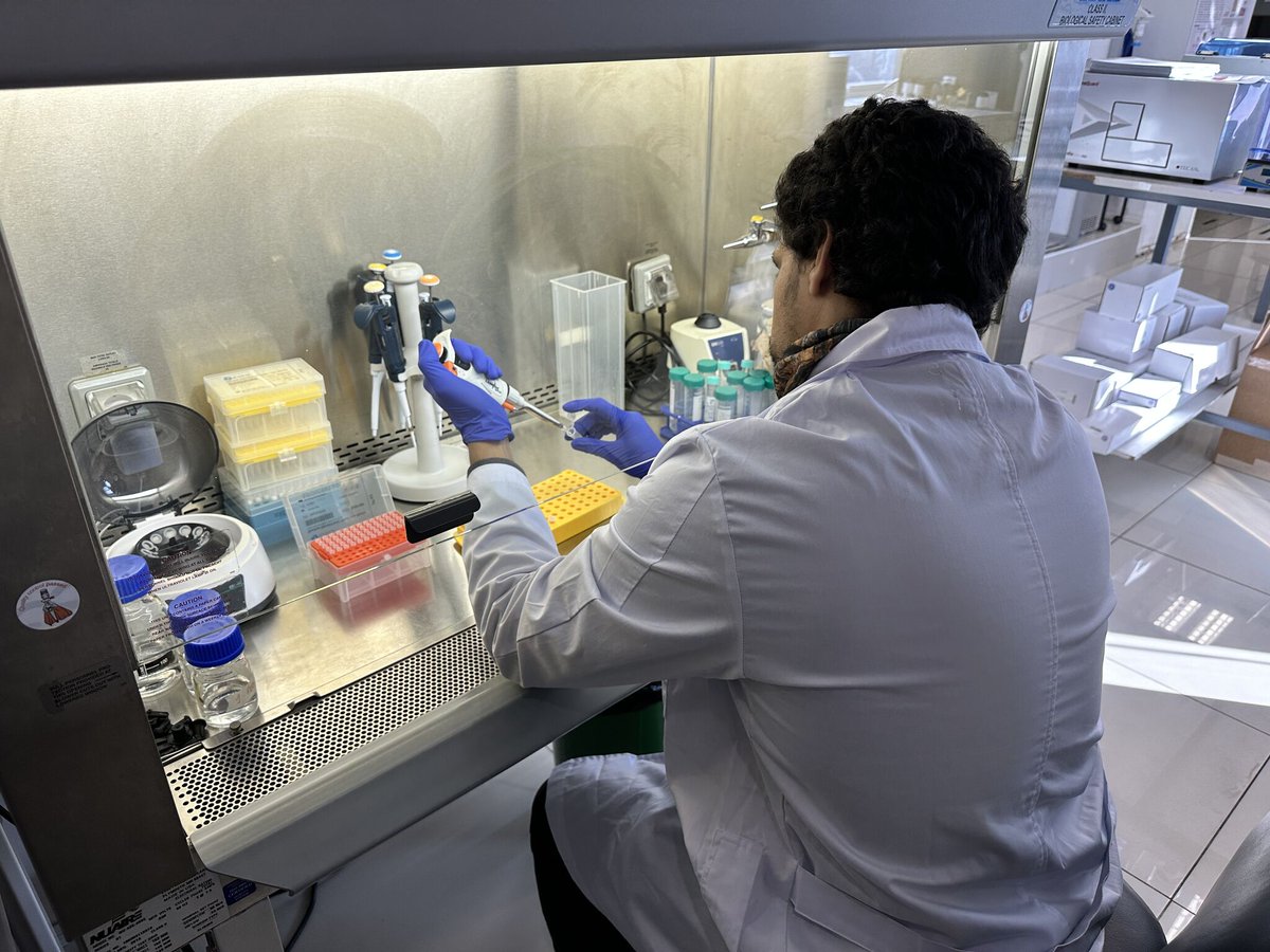 CIBumayor's tweet image. 👨🔬👨🔬Leonardo Rodríguez, estudiante de doctorado de la UMayor, realiza una pasantía en MELISA Institute como parte de su investigación sobre esclerosis lateral amiotrófica (ELA).
Todo esto como parte del convenio de la @umayor_ con @MELISAInstitute 👏👏
@InvestigaUMayor