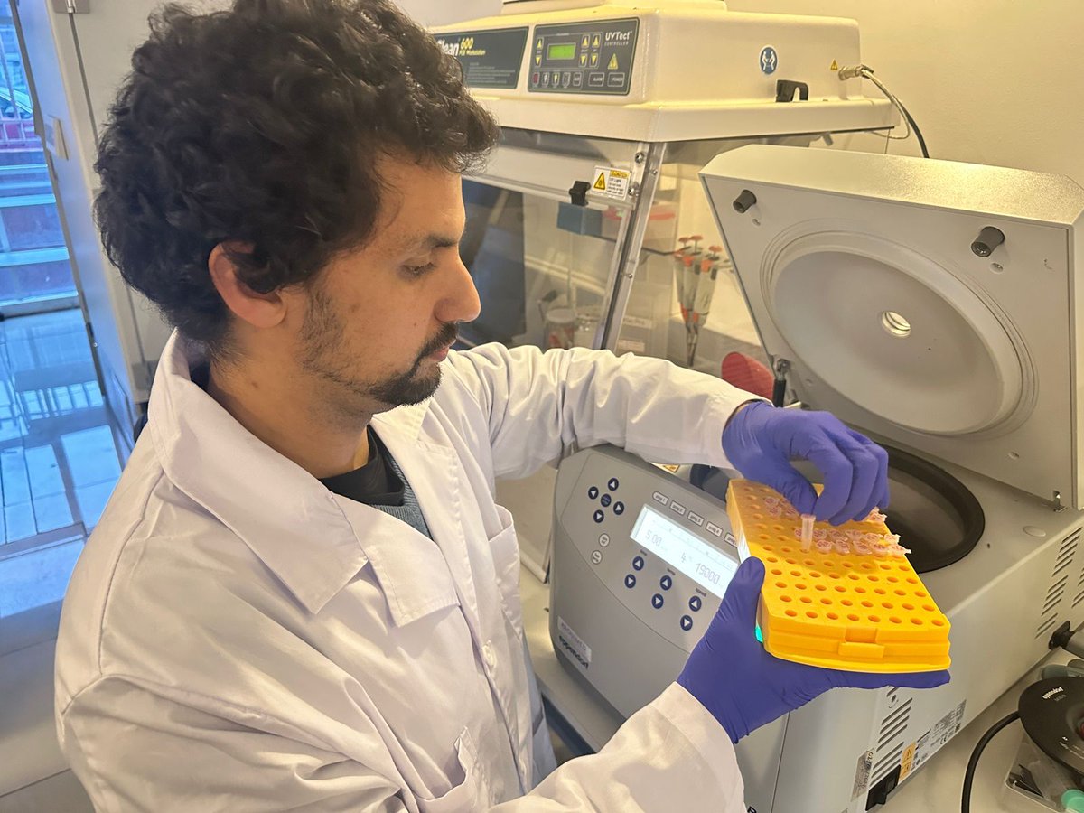 CIBumayor's tweet image. 👨🔬👨🔬Leonardo Rodríguez, estudiante de doctorado de la UMayor, realiza una pasantía en MELISA Institute como parte de su investigación sobre esclerosis lateral amiotrófica (ELA).
Todo esto como parte del convenio de la @umayor_ con @MELISAInstitute 👏👏
@InvestigaUMayor