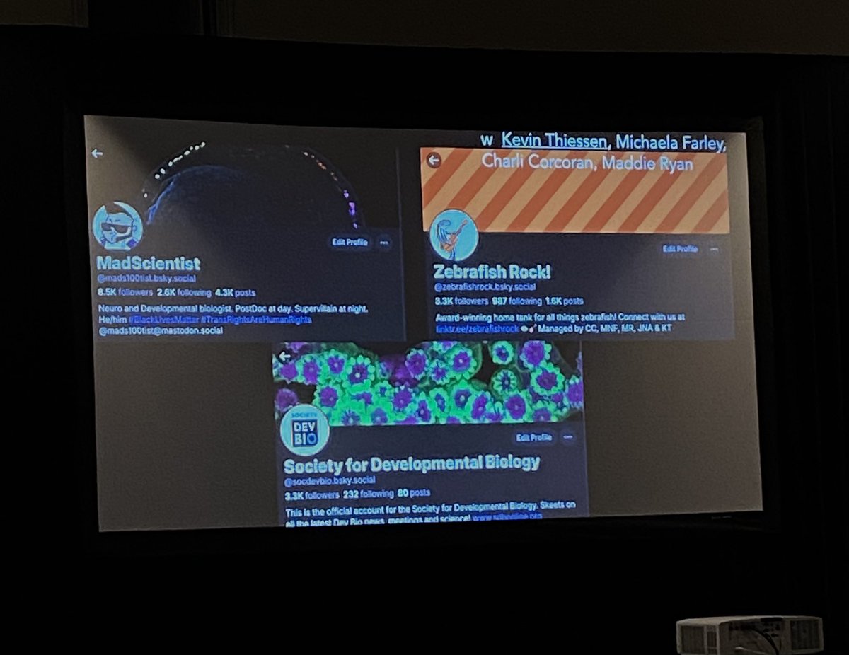 Emms (@emmarangelh) on Twitter photo I’m really proud of my work with corals 🪸❤️grateful that others can see and appreciate their beauty too🪸🪸🫶🏽.Thank you <a href="/SocDevBio/">Society for Developmental Biology</a> to placed my coral image as cover image in Bluesky. <a href="/ScienceStowers/">Stowers Institute</a> @DbLatinx4849 I’m really proud of my work with corals 🪸❤️grateful that others can see and appreciate their beauty too🪸🪸🫶🏽.Thank you <a href="/SocDevBio/">Society for Developmental Biology</a> to placed my coral image as cover image in Bluesky. <a href="/ScienceStowers/">Stowers Institute</a> @DbLatinx4849