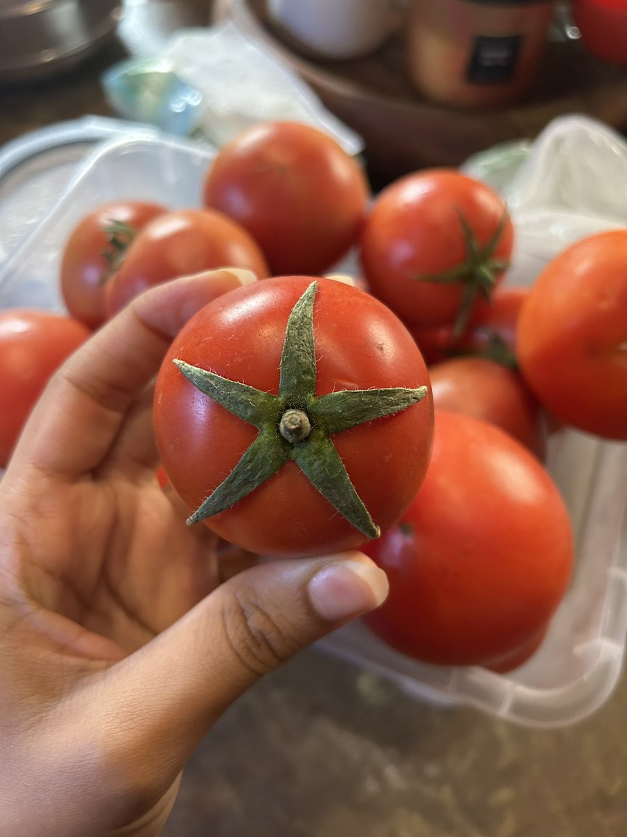 تذكرت لما شفت اجمل طماطه