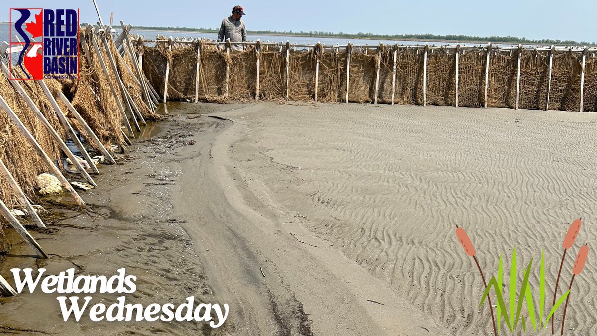 Summer 2025 RRBC Newsletter alert! Get the scoop on our Netley-Libau Marsh restoration, vital soil health initiatives, and upcoming Land &amp; Water Summit. Protecting the Red River Basin, one project at a time!
mailchi.mp/435147fa5b00/t…