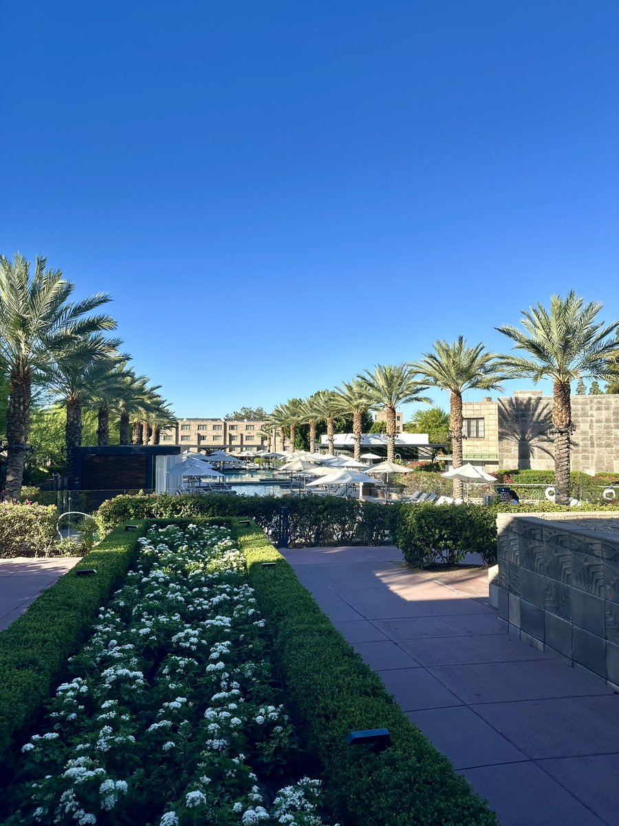 Ms. Megan Justice (@ms_mjustice) on Twitter photo Beautiful things happening inside AND outside of the NIET Summer Institute β25 in Phoenix, AZ βοΈ <a href="/NIETteach/">National Institute for Excellence in Teaching</a> <a href="/MelissaABlossom/">ππππΎπππΆ π΅ππππππ</a> #NIET2025 Beautiful things happening inside AND outside of the NIET Summer Institute β25 in Phoenix, AZ βοΈ <a href="/NIETteach/">National Institute for Excellence in Teaching</a> <a href="/MelissaABlossom/">ππππΎπππΆ π΅ππππππ</a> #NIET2025