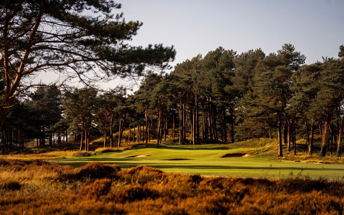 Our course in a nutshell: heather, pines, and pot bunkers — a beautiful setting for golf.