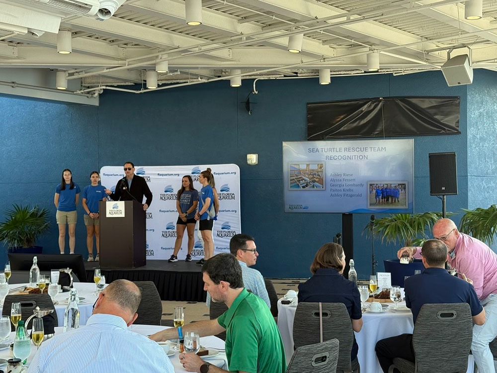 Tampa Electric (@tampaelectric) on Twitter photo Weโre proud to partner with <a href="/floridaaquarium/">The Florida Aquarium</a> to power conservation and education in Tampa Bayโfrom solar at the Bayview Rooftop Terrace to sea turtle rehab at our FCTC campus.
Together, weโre protecting what matters.
Learn more: ow.ly/plGz50Wfwbz Weโre proud to partner with <a href="/floridaaquarium/">The Florida Aquarium</a> to power conservation and education in Tampa Bayโfrom solar at the Bayview Rooftop Terrace to sea turtle rehab at our FCTC campus.
Together, weโre protecting what matters.
Learn more: ow.ly/plGz50Wfwbz