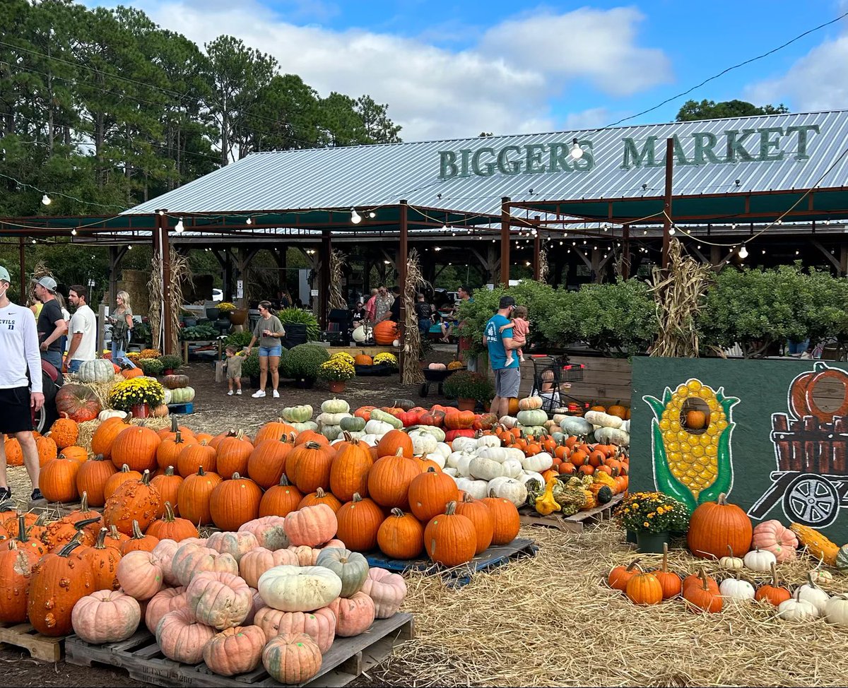 Wings Up Wednesday 🦅 

Episode 5: Farmers Markets🧺

Fresh finds, local vibes 🌞—Wilmington-area farmers markets bring together homegrown produce, handmade goods, and community spirit all across the coast! 

#SeaYourFuture | #WingsUp