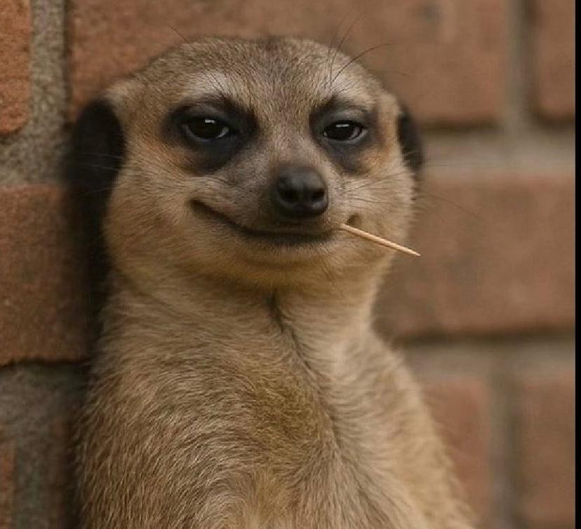 Nkwa (@mynkwa) on Twitter photo Nkwa users watching everyone else pay charges to send money. Nkwa users watching everyone else pay charges to send money.