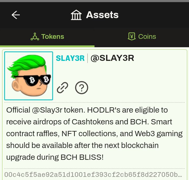 Tom_Jerryy_'s tweet photo. $SLAY3R is the most worthy #Cashtoken for buying &amp; holding 💚. $SLAY3R token holders received $BCH &amp; different #Cashtokens airdrop🔥🥂. I received airdrop of 0.02 BCH &amp; different Cashtokens by holding this token.

Trade it here;
https://t.co/jrYOu439qy
LFG $SLAY3R ✈️🌙 @Slay3r99 https://t.co/NZsz8k0Cg0