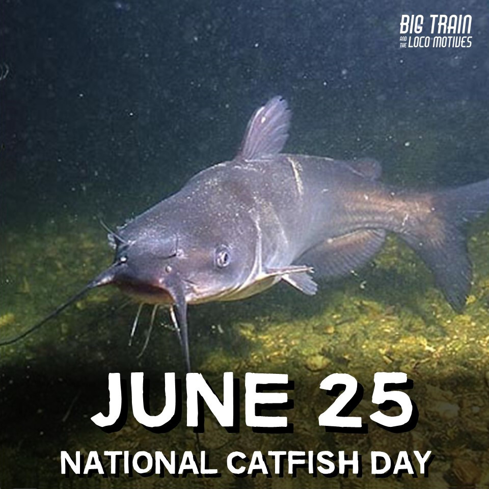 BigTrainBlues's tweet image. HEY LOCO FANS - Happy National Catfish Day celebrated every year on June 25! #CatfishBlues #Blues #BluesMusic #BigTrainBlues #BluesHistory