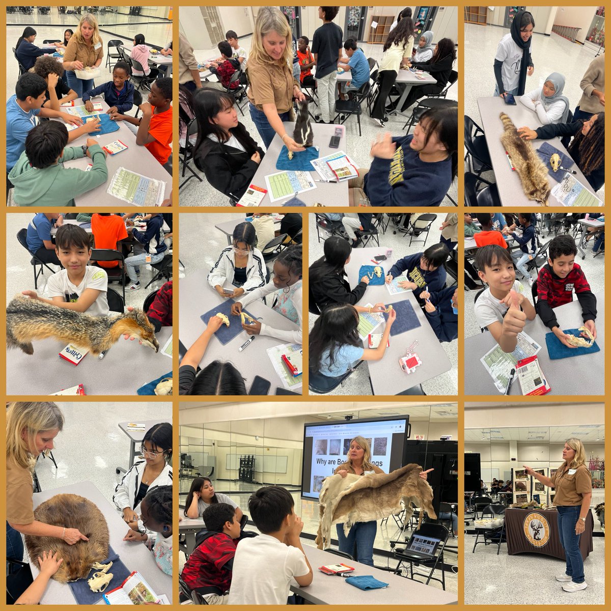 Chambers Counselor (@chamberscounsel) on Twitter photo Thank you, <a href="/MrsZambranoE/">Efigenia Zambrano</a>, for bringing the Texas Wildlife Association to <a href="/SliSummer/">Alief ISD | SLI-Summer Language Institute</a>! 🦌 🦊 🦫The students were so engaged and enjoyed the presentation! I look forward to bringing this awesome program to <a href="/ChambersCharger/">Chambers Elementary</a>! <a href="/zysolis/">Zansia Solis</a> <a href="/MontgomeryErik/">Jason Montgomery</a> Thank you, <a href="/MrsZambranoE/">Efigenia Zambrano</a>, for bringing the Texas Wildlife Association to <a href="/SliSummer/">Alief ISD | SLI-Summer Language Institute</a>! 🦌 🦊 🦫The students were so engaged and enjoyed the presentation! I look forward to bringing this awesome program to <a href="/ChambersCharger/">Chambers Elementary</a>! <a href="/zysolis/">Zansia Solis</a> <a href="/MontgomeryErik/">Jason Montgomery</a>