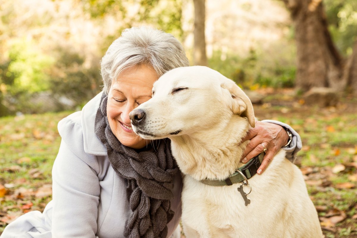Animal-assisted therapies can improve the physical, emotional and social well-being of older adults bit.ly/2PV5uLg @Northern