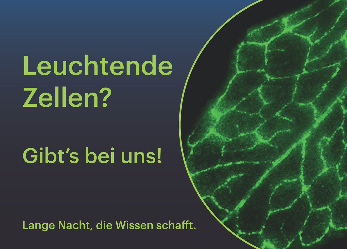 Leibniz Institute of Plant Biochemistry Halle tweet media