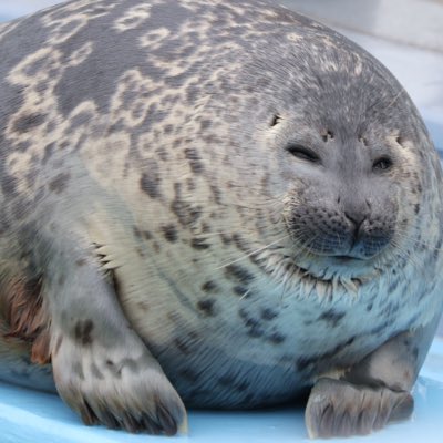 #新しいプロフィール画像