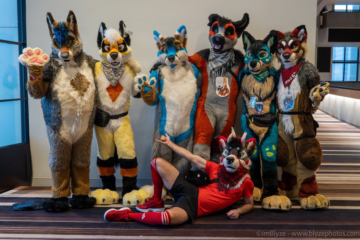 Lyam Yeensen 🔜 FWA (@lyamtheyeen) on Twitter photo Kaiyobe being cute with some of the <a href="/MadeFurYou/">Made Fur You</a> family!
📸: <a href="/ImBlyze/">Blyze Striped Yeendeer</a>
#fursuit #fursuits #furry #furries #FursuitEveryday Kaiyobe being cute with some of the <a href="/MadeFurYou/">Made Fur You</a> family!
📸: <a href="/ImBlyze/">Blyze Striped Yeendeer</a>
#fursuit #fursuits #furry #furries #FursuitEveryday