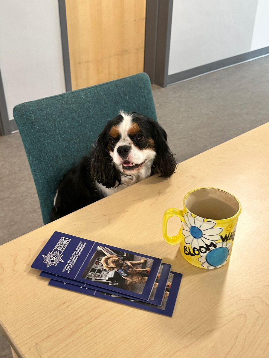 Veterans' House Canada tweet media