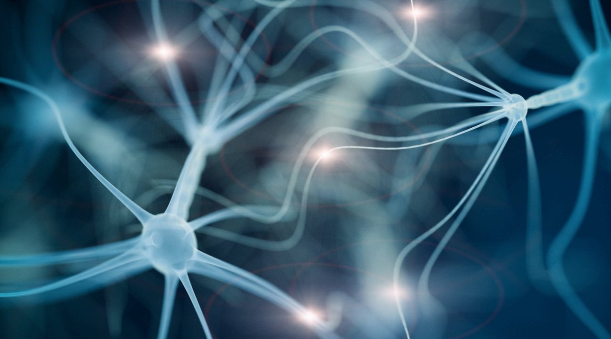 mndresearch's tweet image. Today is #WorldBrainDay! 🧠
@mndassoc funded researchers are developing new ways to study connections in the brain.
These new techniques could help us learn more about what goes wrong in the brain in #MND #ALS.
Find out more about this research ⬇️
mndassociation.org/research/our-r…
