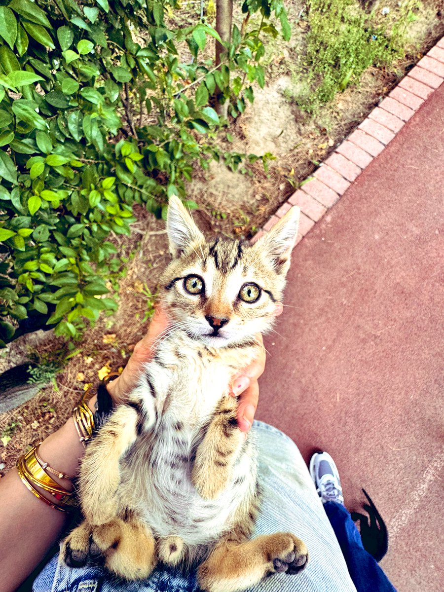 Güzelliğin