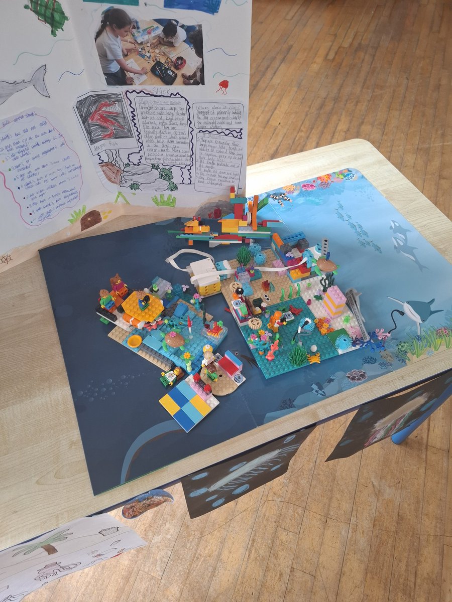 St. Joseph's N.S (@stjosephsns1) on Twitter photo 