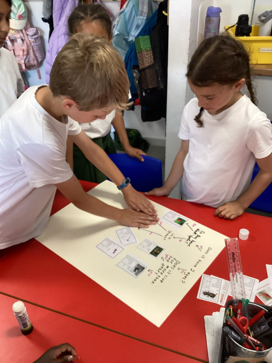 firsprimarysale's tweet image. #Y4Rowan linked their #FirsScience and #FirsComputing learning today to create their own animal branching databases ready to turn into a digital version next week! 

#teamwork