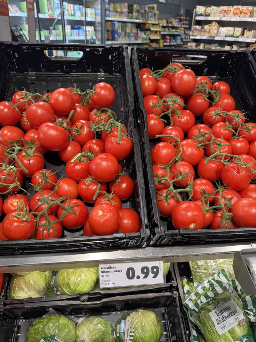 Almanya'da domates 20 euro demiş birisi 
Bu postu elden ele gözüne sokar mısınız??