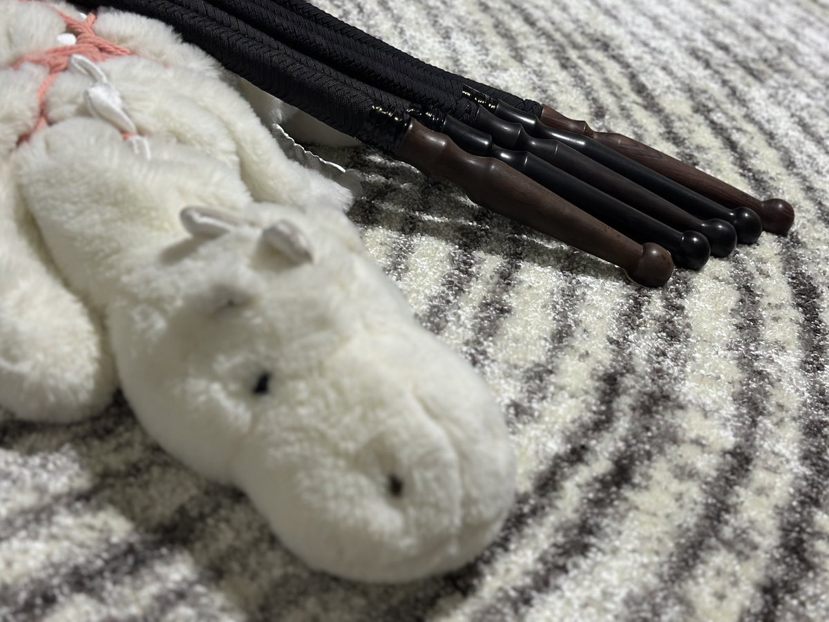 打怪升级🎏
#小圈sp #长鞭 #女S #spank