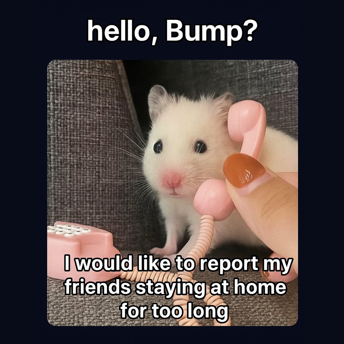 bumpbyamo's tweet image. 080-000-BUMP