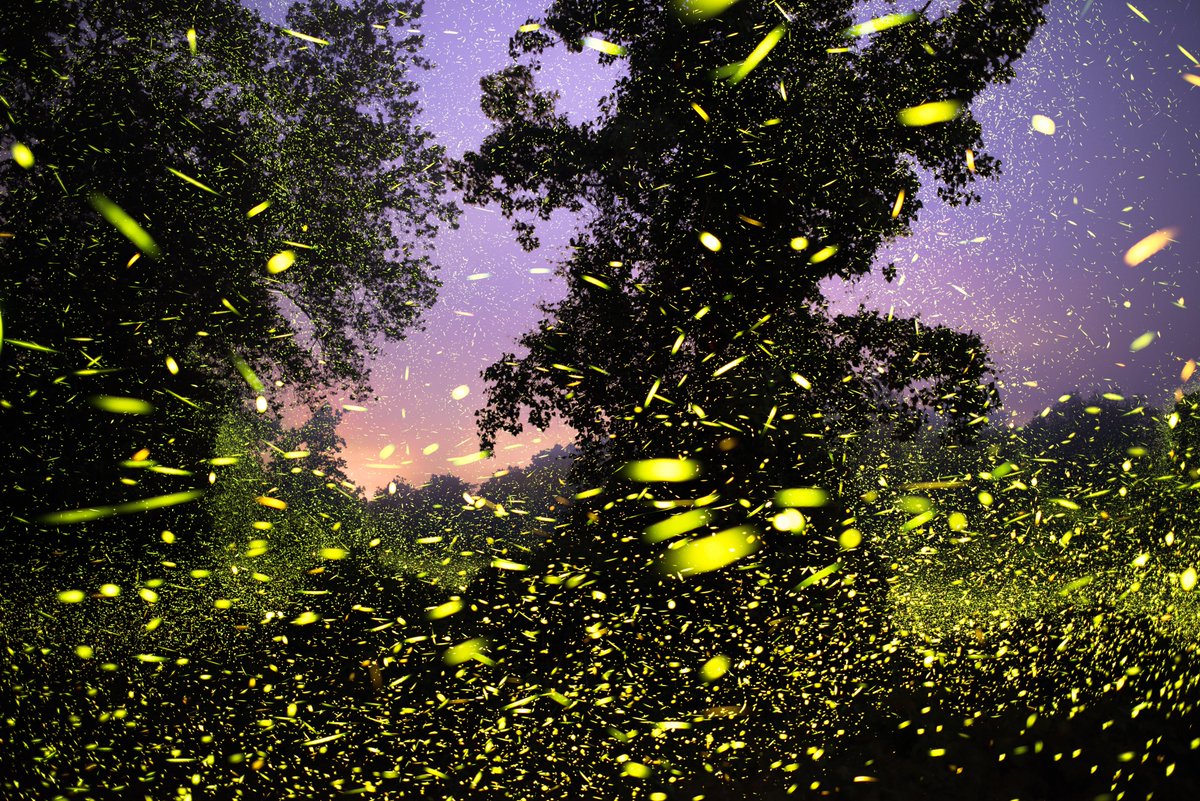 julian (@juliancd38) on Twitter photo 