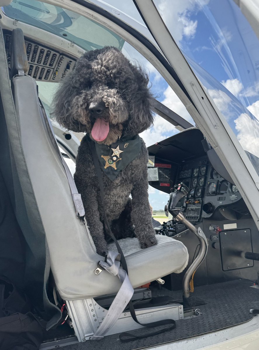 Join us to wish a very special birthday to K9 Reggie! Born on this day in 2020, Reggie was one of the first to join our Therapy Dog Unit and he’s been spreading love and comfort ever since. Whether he’s helping kids read at the library, making seniors smile, or de-stressing his
