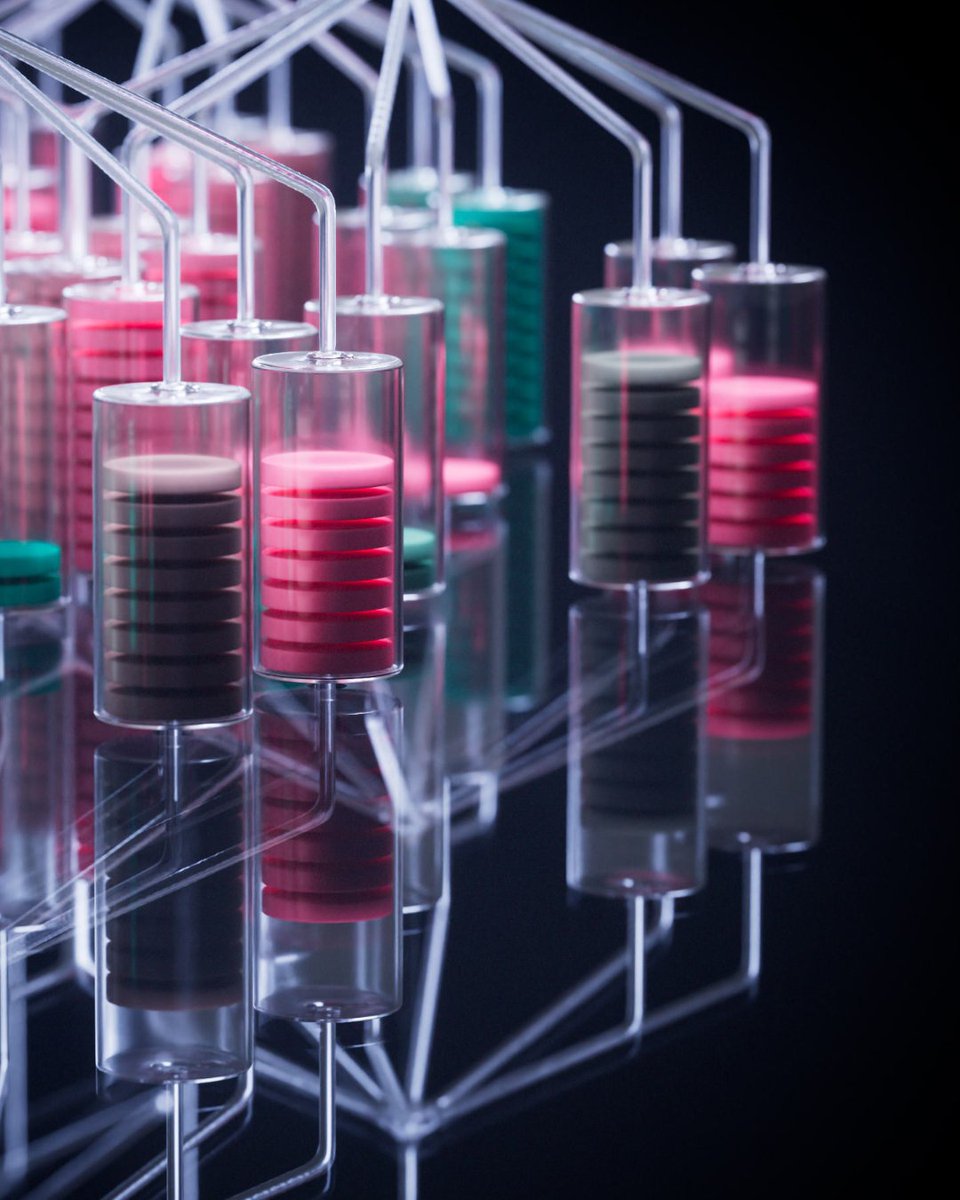 R&amp;D ~ Cell

Exploring forms around power, connection, and controlled chaos.