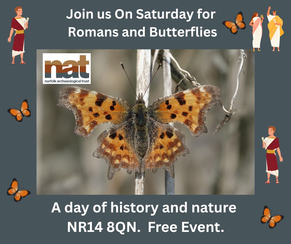 Norfolk Archaeological Trust tweet media