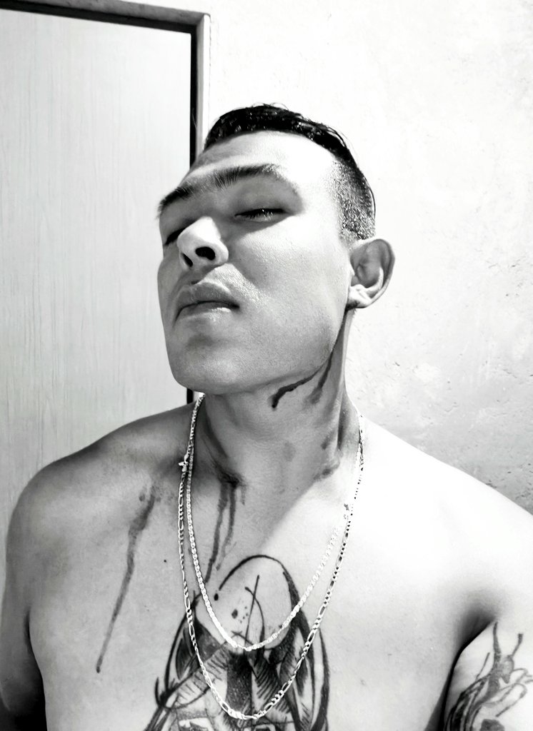 RogelioOlmedo7 tweet picture