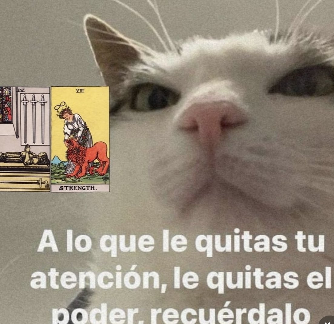 invertedmoonn's tweet photo. Último días de junio para los fijos en el amor!!!! https://t.co/tqbZjlLOyn