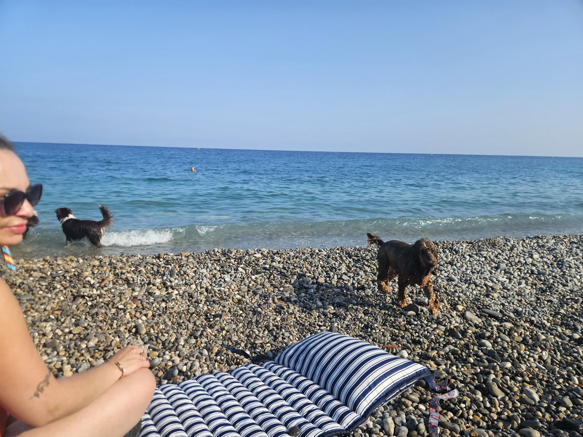 Alexandre Herbinet tweet media